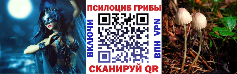 Галлюциногенные грибы GOLDEN TEACHER Солигалич