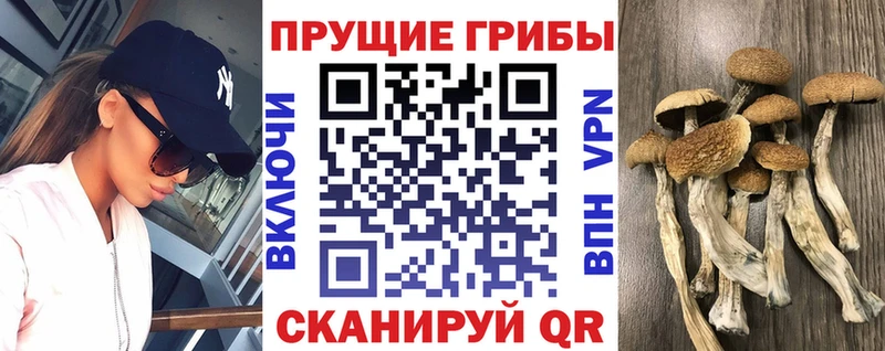 блэк спрут зеркало  Солигалич  Псилоцибиновые грибы прущие грибы  закладки 